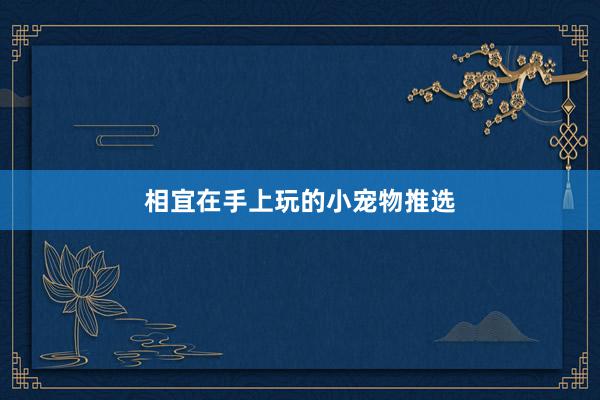 相宜在手上玩的小宠物推选