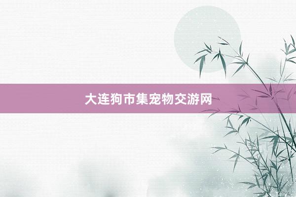 大连狗市集宠物交游网