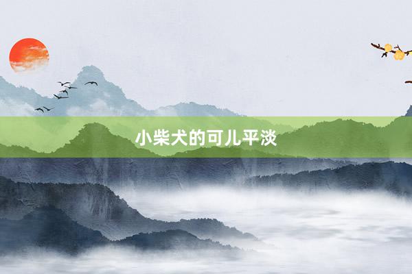 小柴犬的可儿平淡